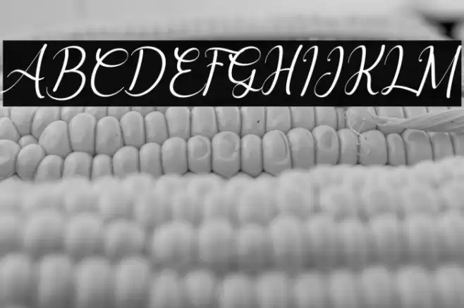 Delyna Italic Font examples