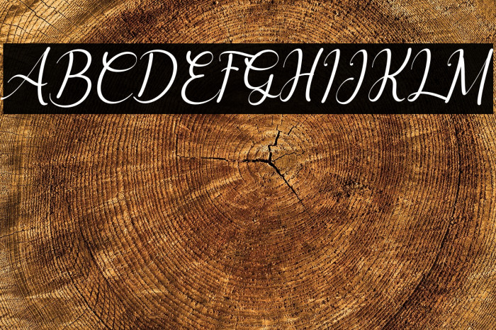 Delyna Italic Example 3