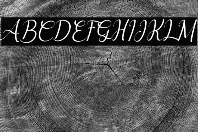 Delyna Italic Font examples