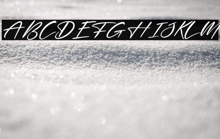 Delynta Italic Example 1