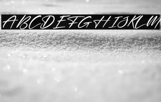 Delynta Italic Font examples