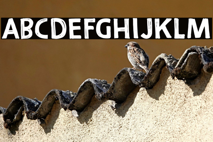 Demagogue DEMO Regular Example 2