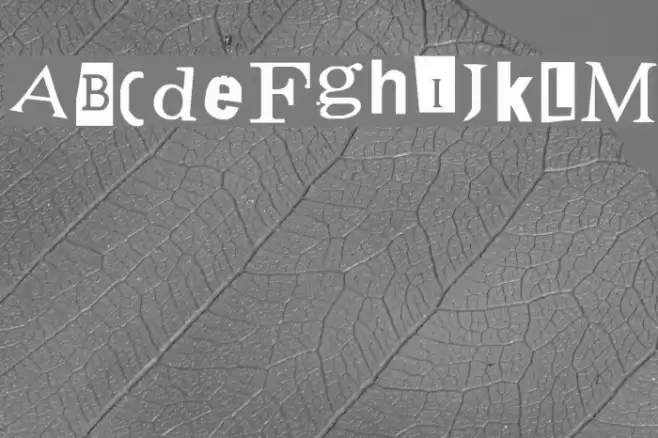 Demand Font examples