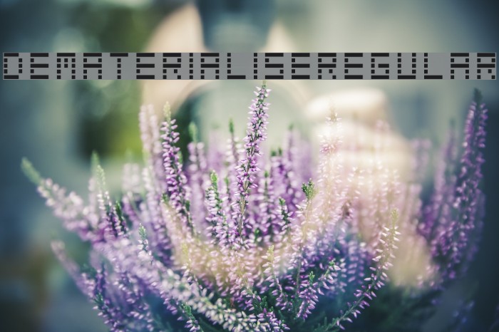 DematerialiseRegular Fuentes examples