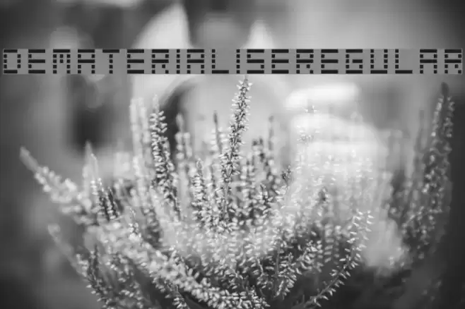 DematerialiseRegular Font examples
