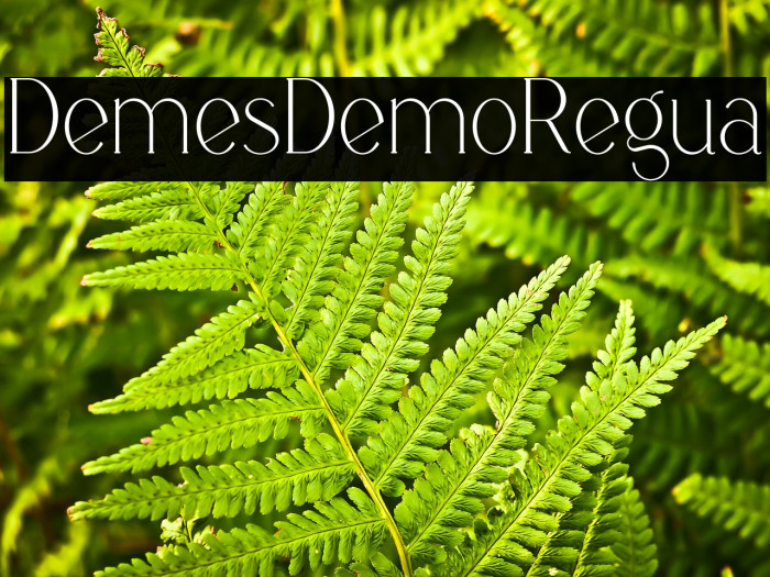 Demeris Demo Regular Example 2