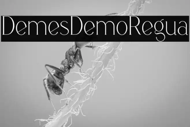 Demeris Demo Regular Example 3