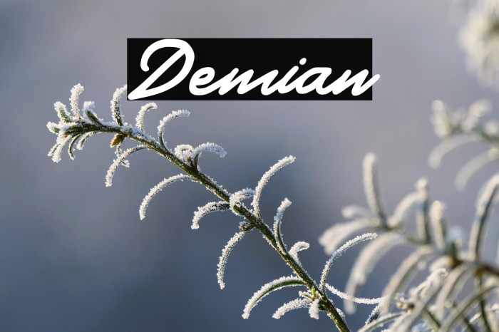 Demian Example 2