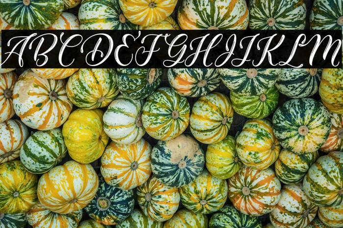 DemielaFree-Medium Example 1