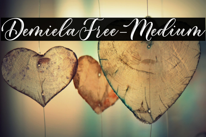 DemielaFree-Medium Example 2