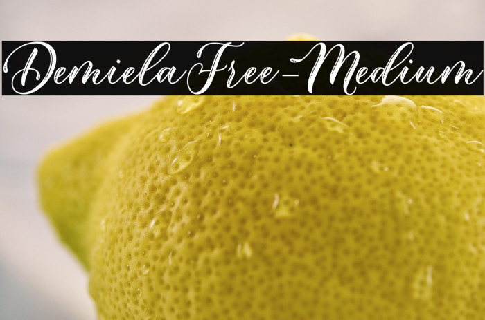 DemielaFree-Medium Example 3