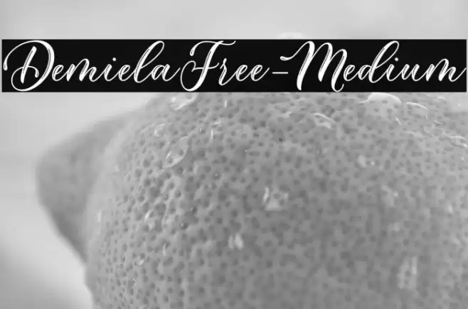 DemielaFree-Medium Font examples
