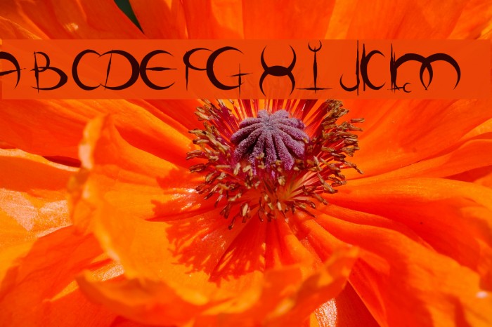 DemigoD Oldschool Font examples