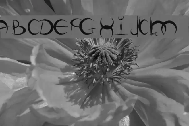 DemigoD Oldschool フォント examples