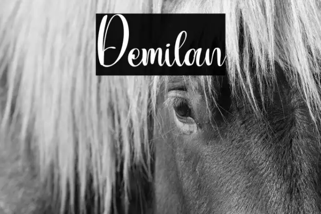 Demilan Example 2