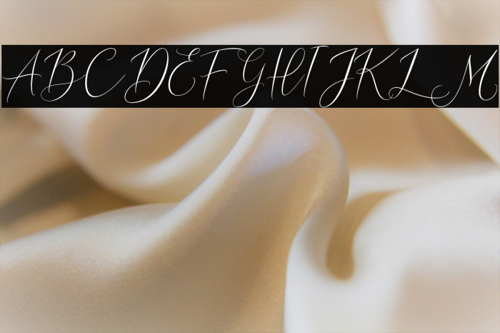 DemoDreamLavigne-Script Example 1