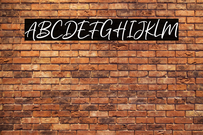 DemoSonlight-Script Example 1