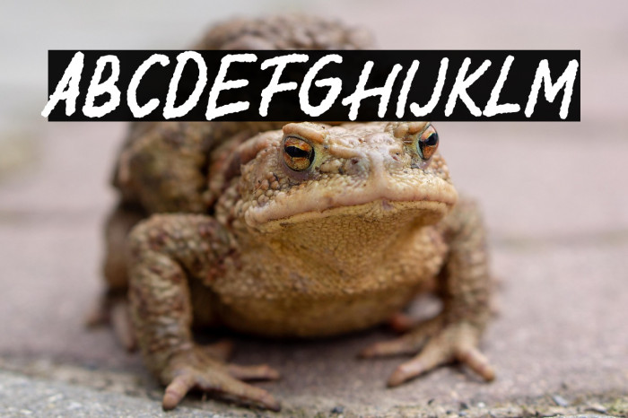 Democrasweet Demo Version Example 2