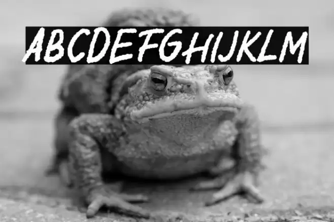 Democrasweet Demo Version Font examples