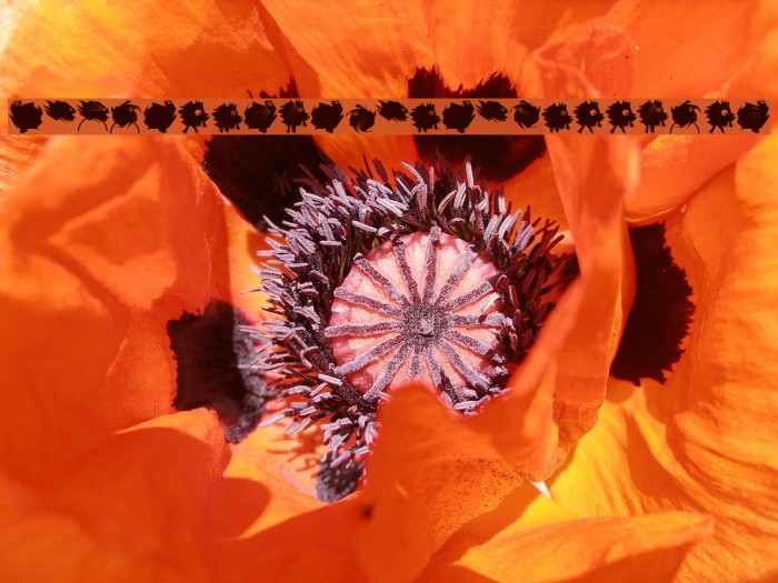 DemocraticPeaceWarriors Example 1