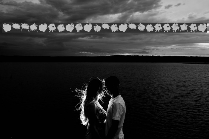 DemocraticPeaceWarriors Example 3