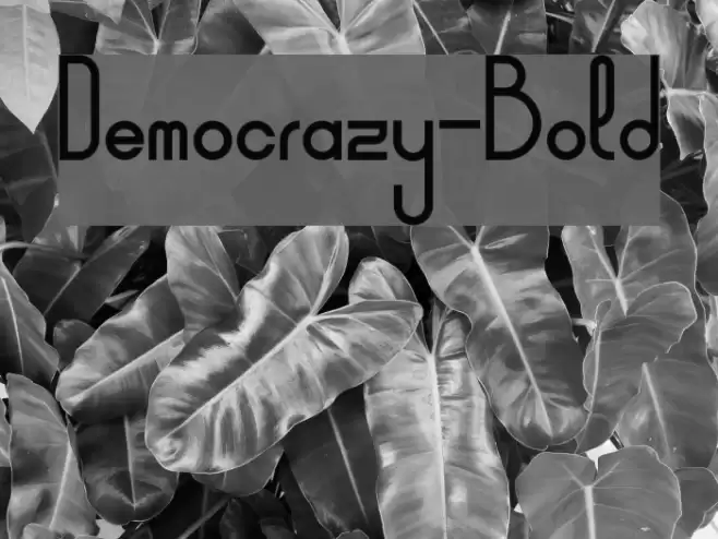 Democrazy-Bold Font examples