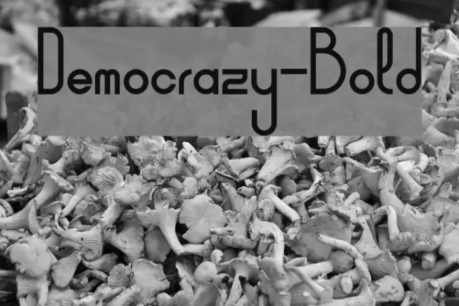Democrazy-Bold Font examples