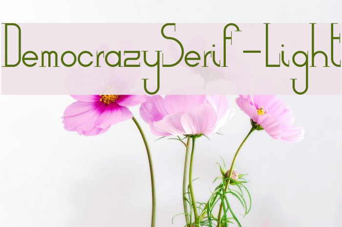 DemocrazySerif-Light Font examples