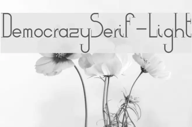 DemocrazySerif-Light Example 2