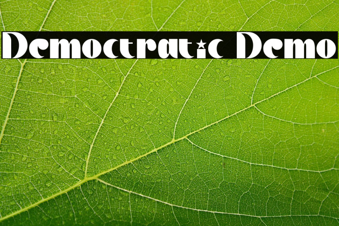 Democtratic Demo Example 2