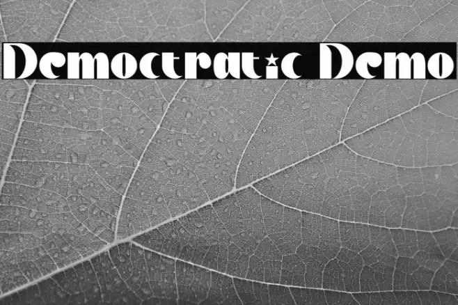 Democtratic Demo Font examples