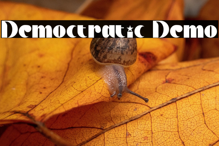 Democtratic Demo Example 3