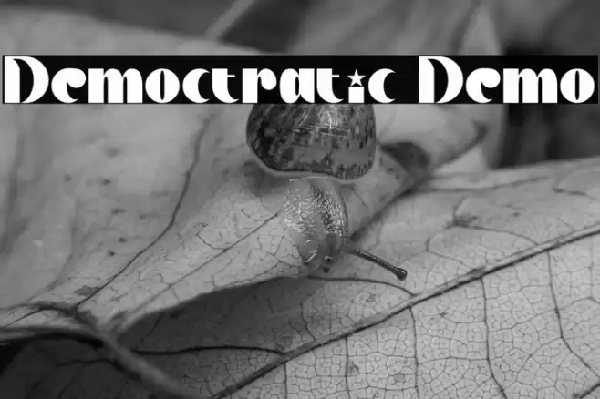 Democtratic Demo Font examples