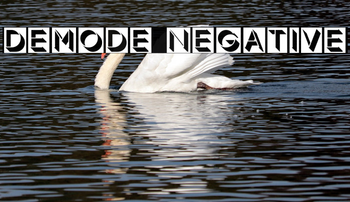 Demode Negative Font examples