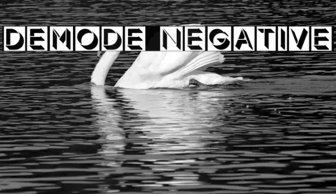 Demode Negative Example 1