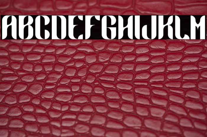 Demodulator-Regular Example 1