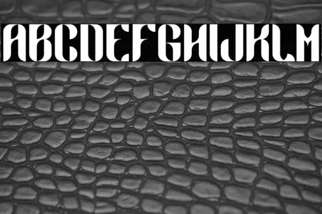 Demodulator-Regular Font examples