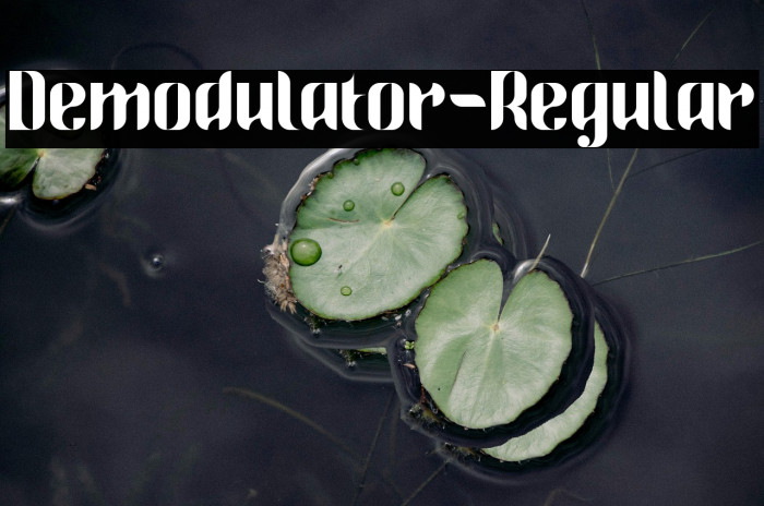 Demodulator-Regular Example 2