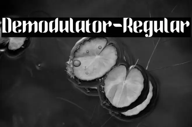 Demodulator-Regular Font examples