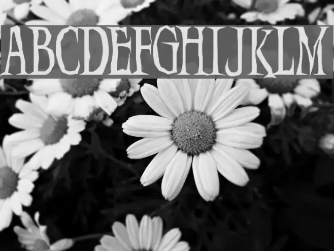 Demon  Night Caratteri examples