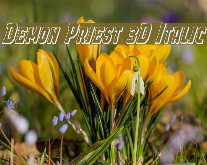 Demon Priest 3D Italic Font examples
