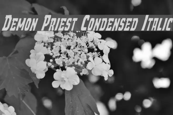 Demon Priest Condensed Italic Font examples