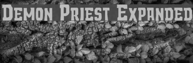 Demon Priest Expanded Example 3