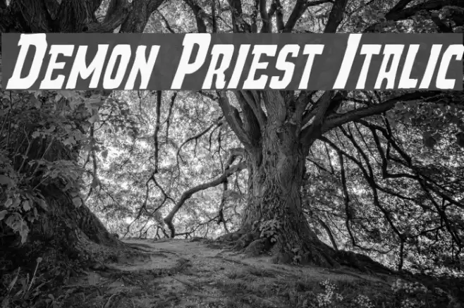 Demon Priest Italic Font examples