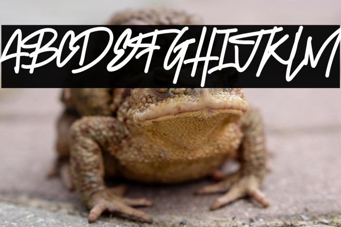 Demon Say Hi Example 1