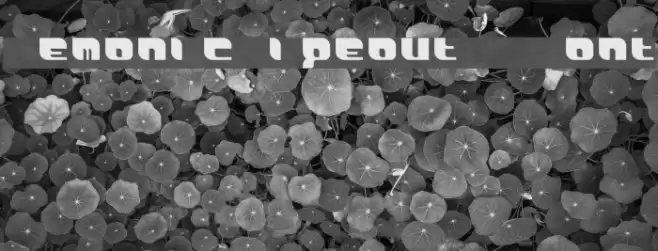 DemonicWipeoutXLFont Font examples