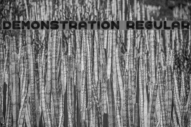 Demonstration Regular Font examples