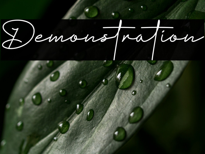 Demonstration Example 1