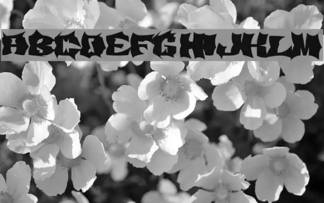 Demony Fuentes examples