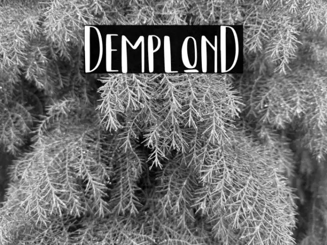 DemplonD Example 1
